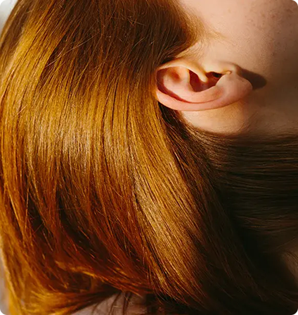 Image One