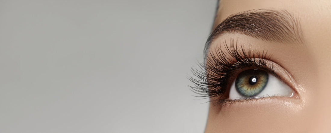 Eyelash and Eyebrow Growth