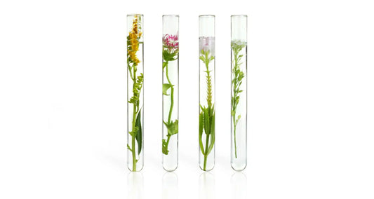 Are Rosemary Oil, Herbs and Oils Good For Hair Growth?