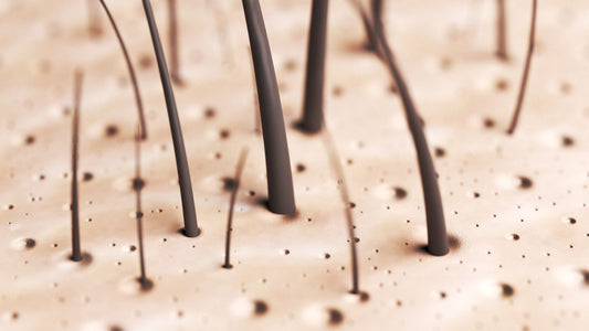 The Science Behind Stress and Hair Loss