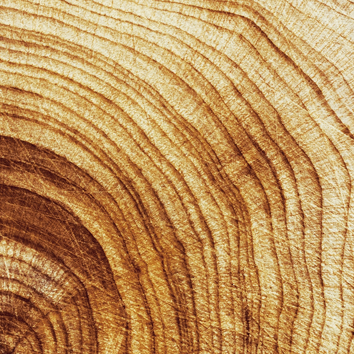 Pygeum Bark Extract