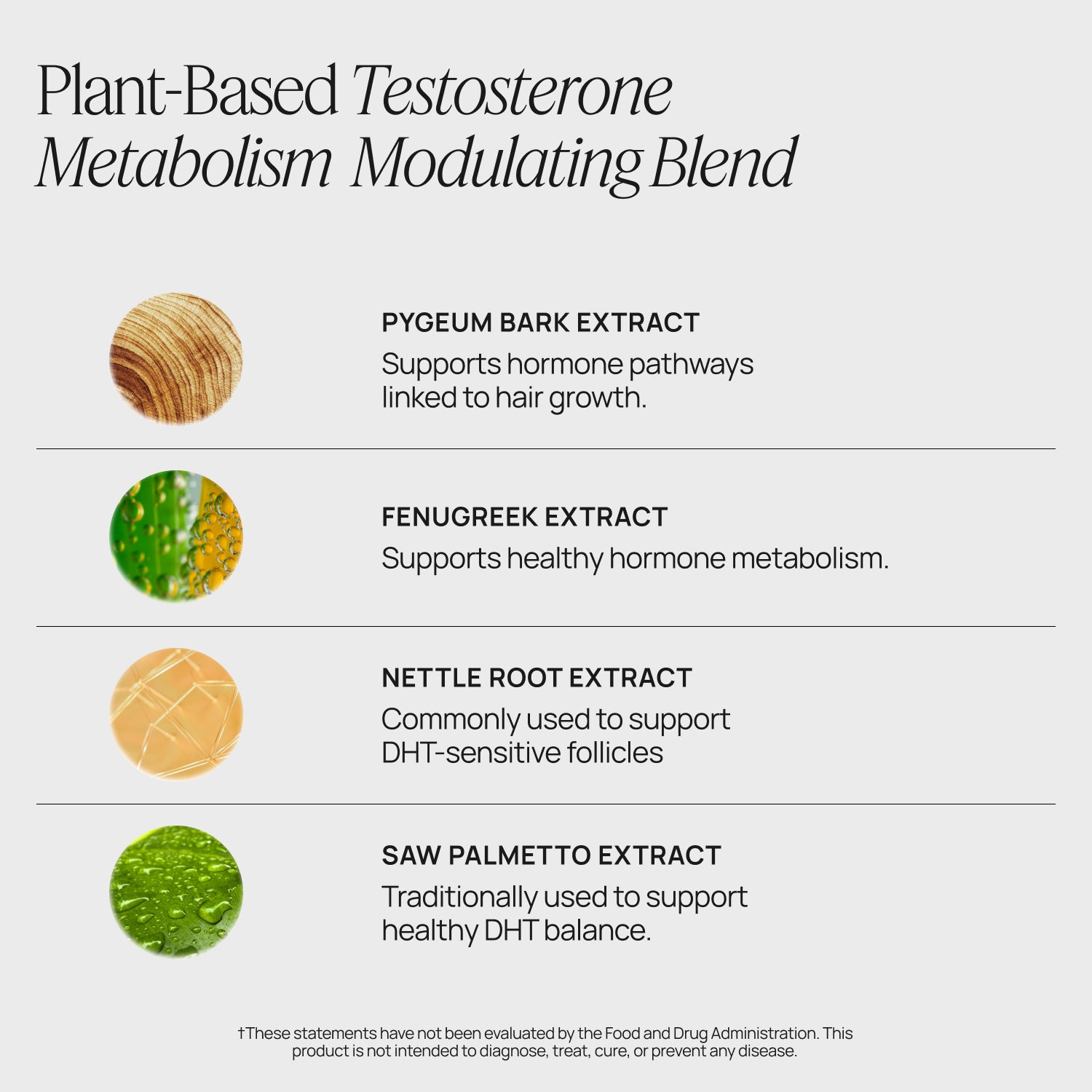 Plant-based testosterone metabolism modulating blend with extracts and their benefits on a white background.