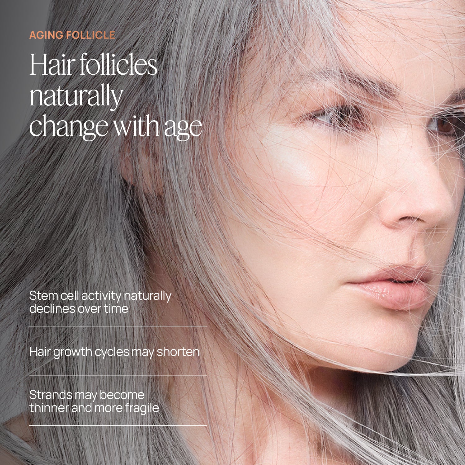 Close-up of a person with gray hair and text about aging hair follicles.